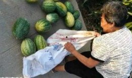 杭州瓜妈最新爆料,揭秘XX事件背后真相