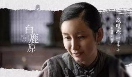 在线观看白鹿原电视剧,穿越历史的长河，探寻家族命运的传奇